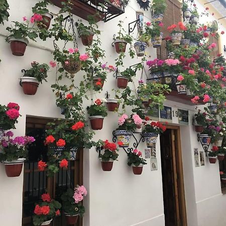 Apartamento El Rincon De La Verdad Cordoba Dış mekan fotoğraf