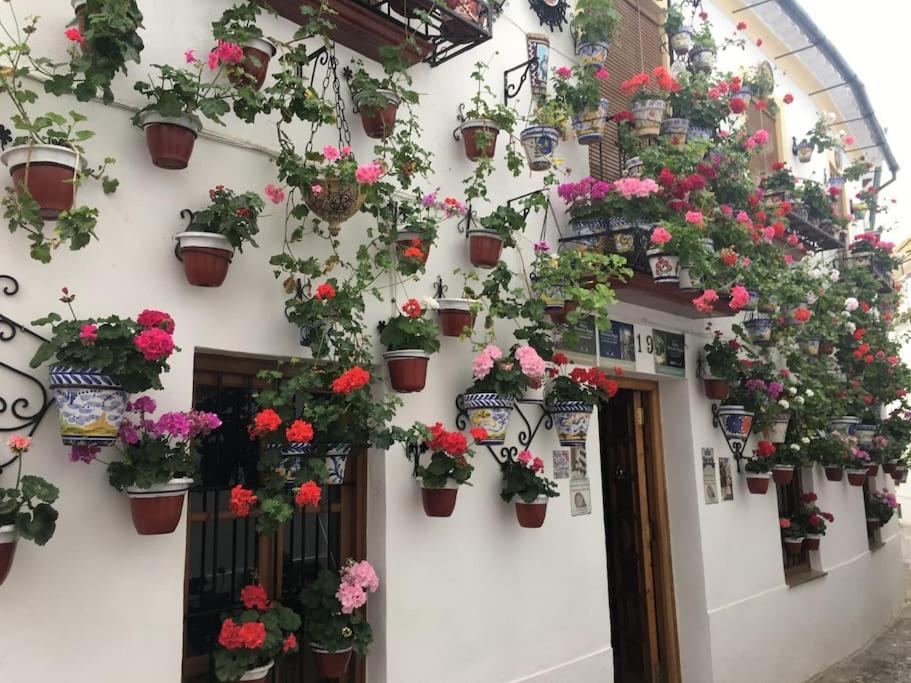 Apartamento El Rincon De La Verdad Cordoba Dış mekan fotoğraf