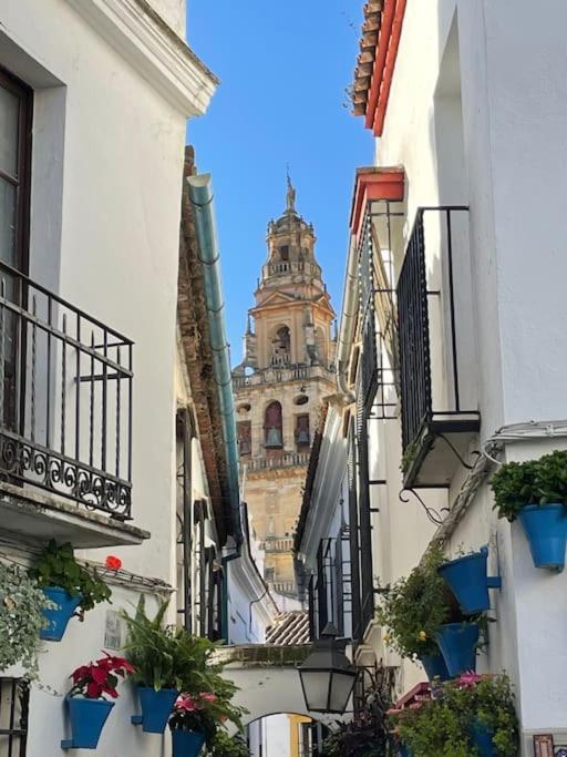 Apartamento El Rincon De La Verdad Cordoba Dış mekan fotoğraf