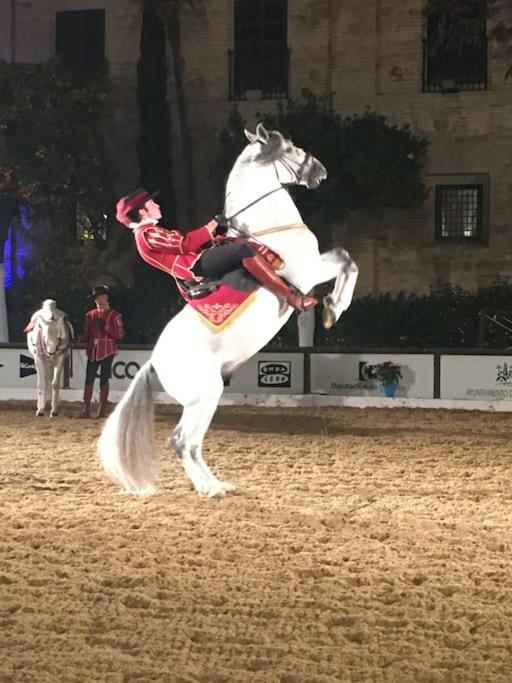 Apartamento El Rincon De La Verdad Cordoba Dış mekan fotoğraf